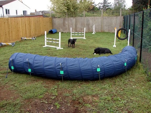 These freezing temps are not what us Southerners are used to, so a lot of us opt to stay inside and neglect getting out there with our dogs. For active breeds, this doesn't bode very well - they need a way to release that energy (unless you want your couch destroyed). So, here's your #realitycheck: you can still have fun with your dog in winter! Here are a few winter activities to do with your dog when the temps start dropping. | Dog Training In Your Home Columbia